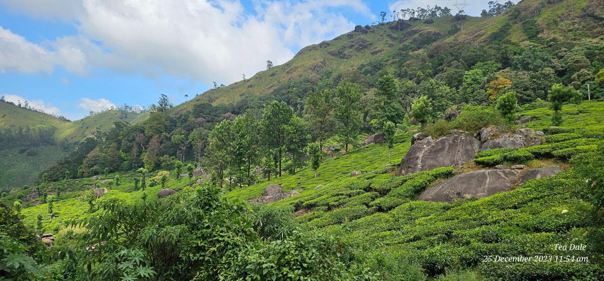 Tea Dale - All Rooms With Tea Estate View Munnar Ngoại thất bức ảnh
