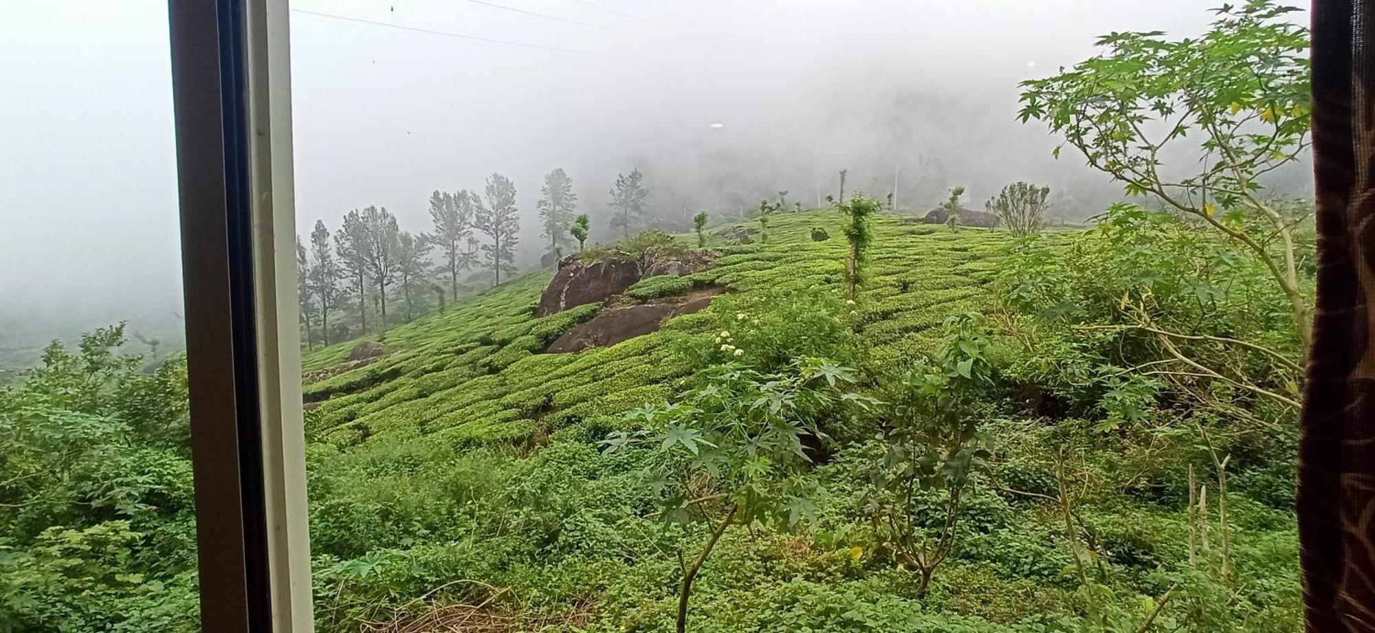 Tea Dale - All Rooms With Tea Estate View Munnar Ngoại thất bức ảnh
