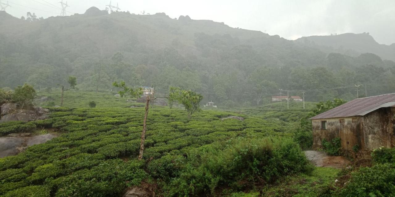 Tea Dale - All Rooms With Tea Estate View Munnar Ngoại thất bức ảnh