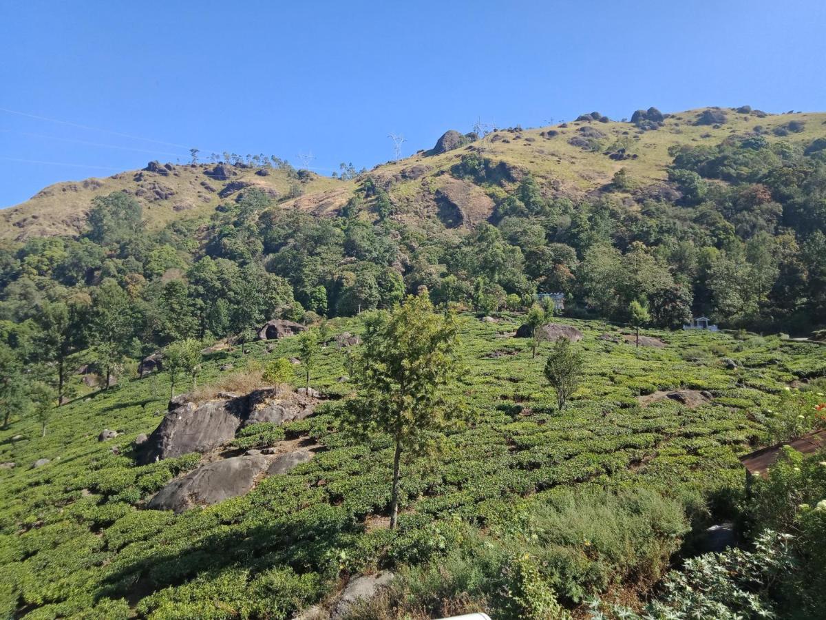 Tea Dale - All Rooms With Tea Estate View Munnar Ngoại thất bức ảnh