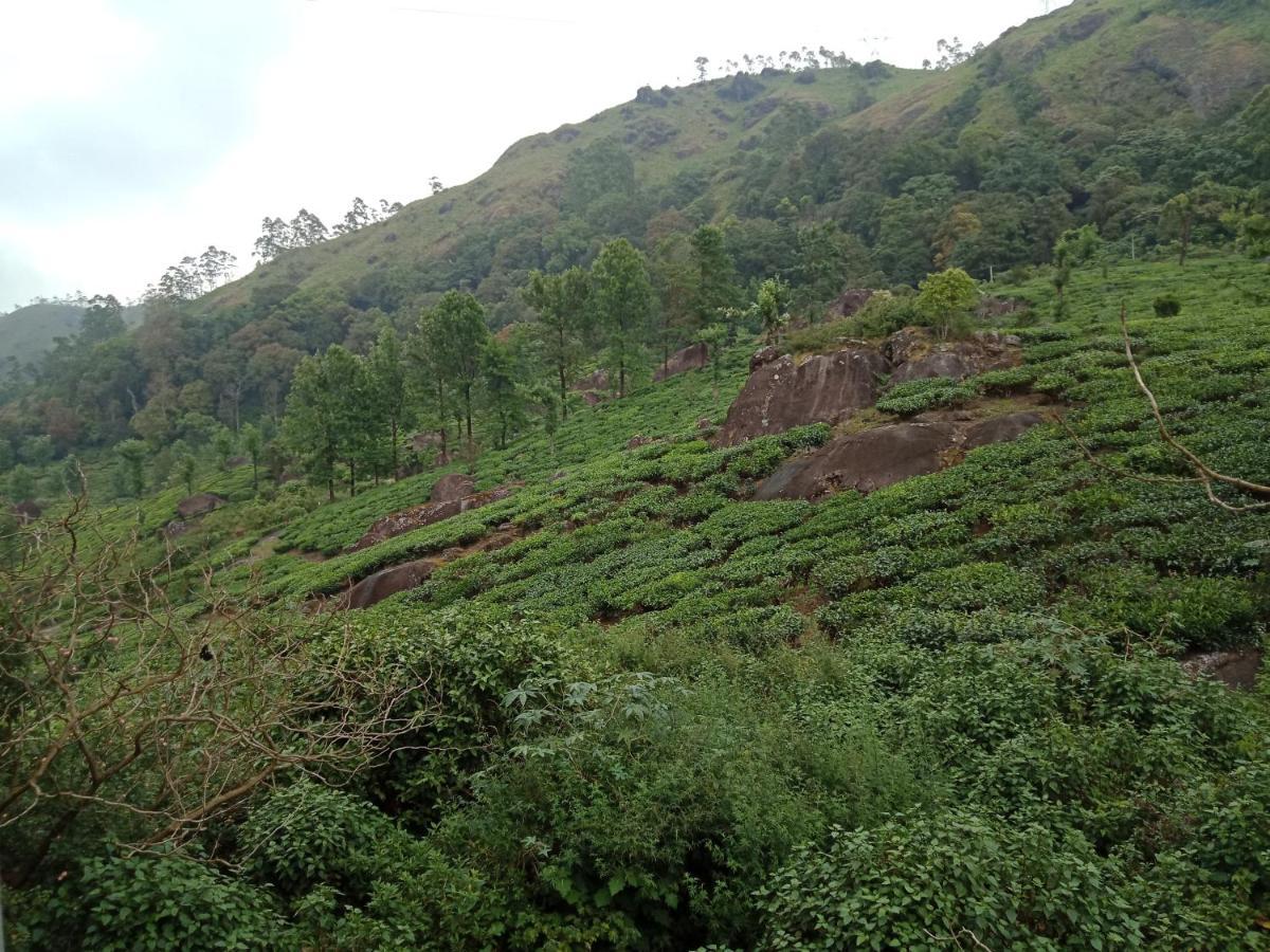 Tea Dale - All Rooms With Tea Estate View Munnar Ngoại thất bức ảnh