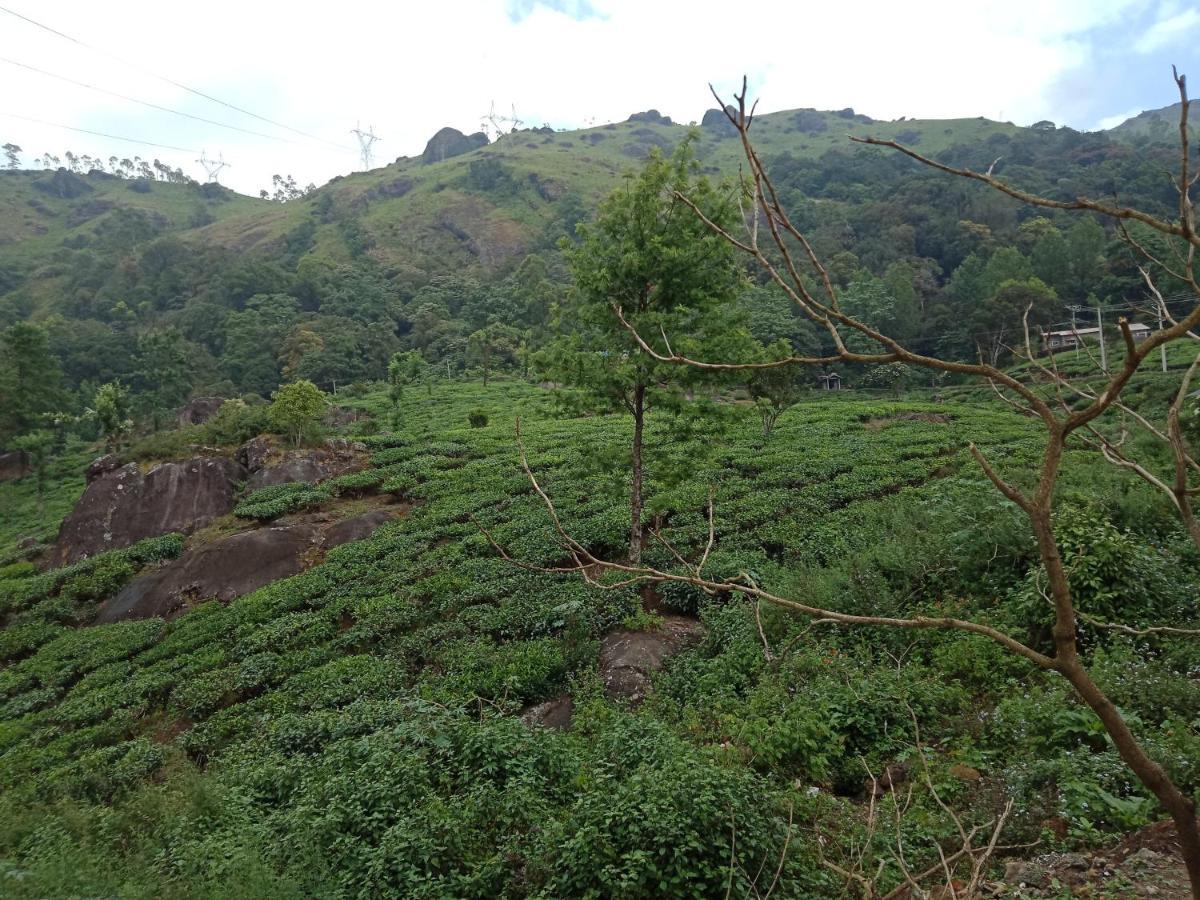 Tea Dale - All Rooms With Tea Estate View Munnar Ngoại thất bức ảnh