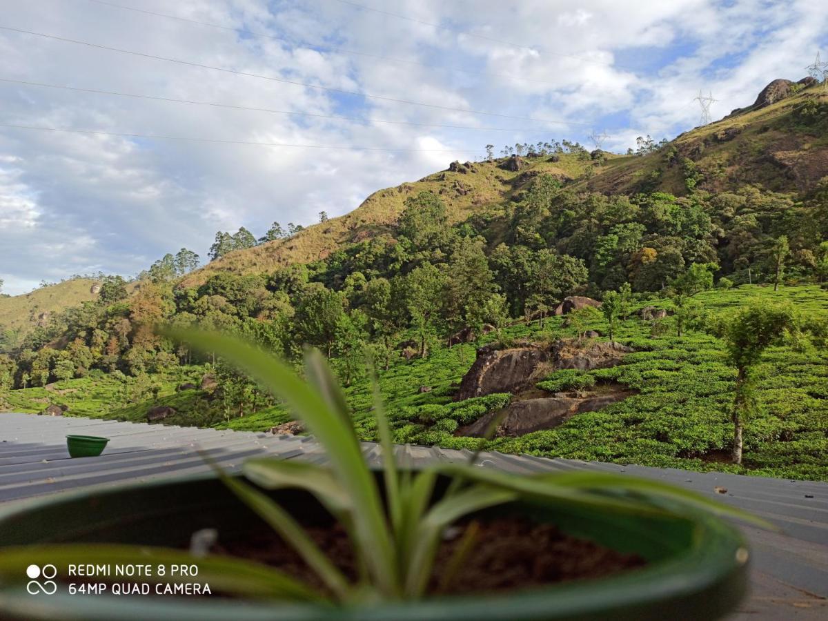 Tea Dale - All Rooms With Tea Estate View Munnar Ngoại thất bức ảnh